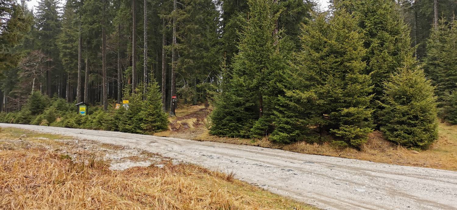 Koča na Pesku - Koča na Klopnem vrhu slika 8