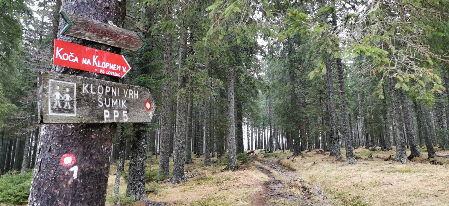 Koča na Pesku - Koča na Klopnem vrhu slika 10