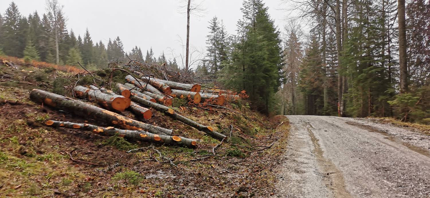 Koča na Pesku - Koča na Klopnem vrhu slika 5