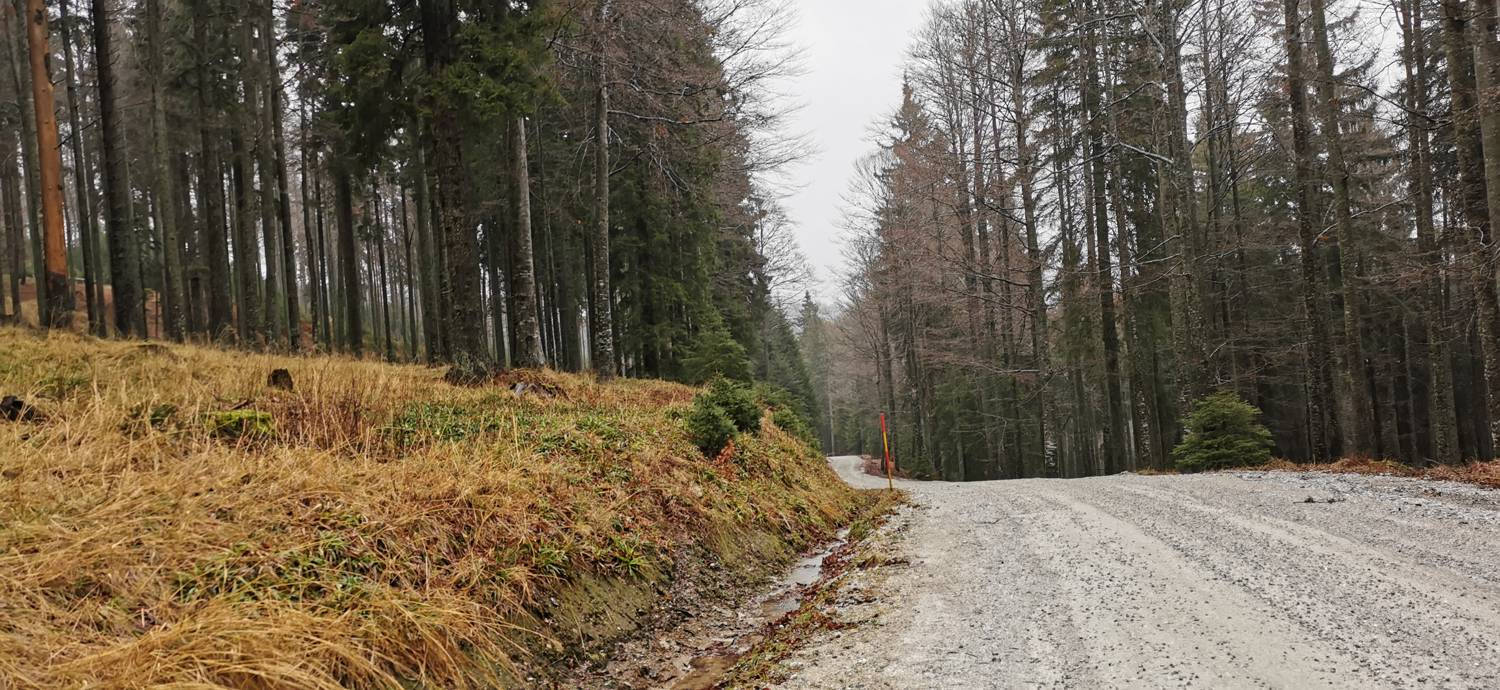 Koča na Pesku - Koča na Klopnem vrhu slika 4