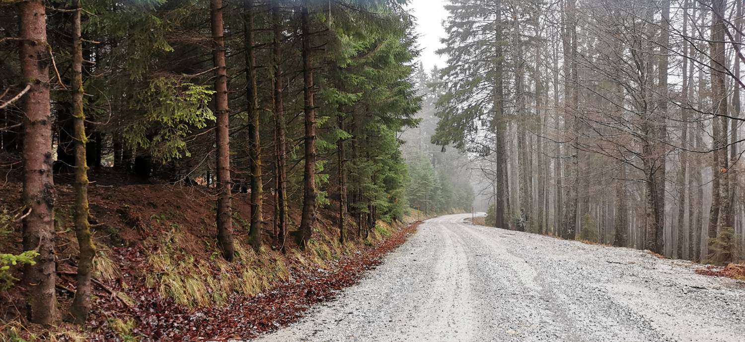 Koča na Pesku - Koča na Klopnem vrhu slika 3