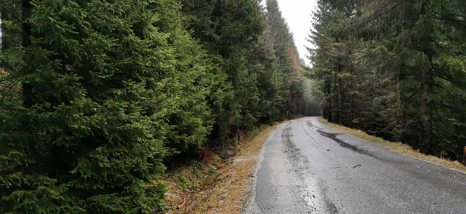 Koča na Pesku - Koča na Klopnem vrhu slika 2