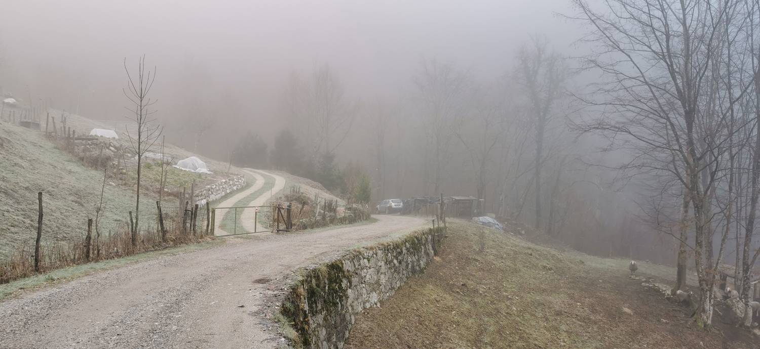 Cerkev Sv. Petra - Mrzli vrh slika 10