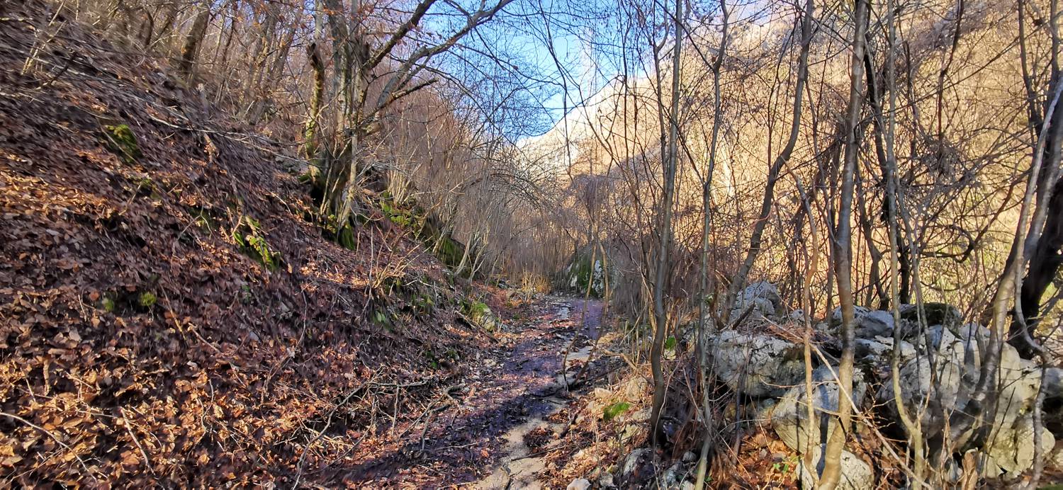 Planina Srednica - Mrzli vrh slika 21