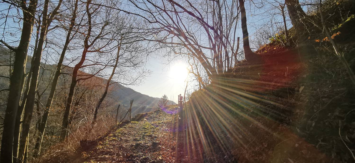 Planina Srednica - Mrzli vrh slika 22