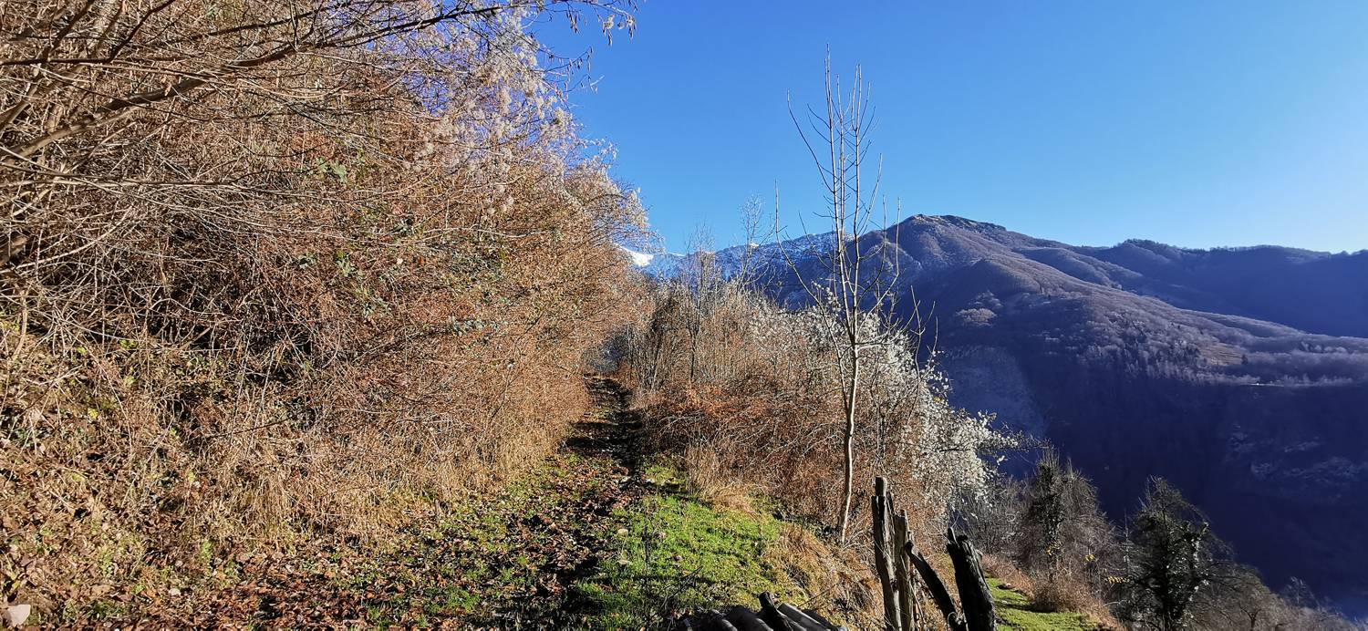 Planina Srednica - Mrzli vrh slika 27