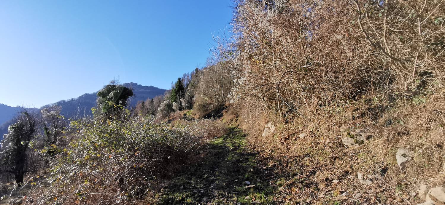 Planina Srednica - Mrzli vrh slika 29
