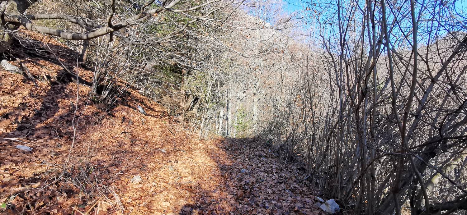 Planina Srednica - Mrzli vrh slika 37