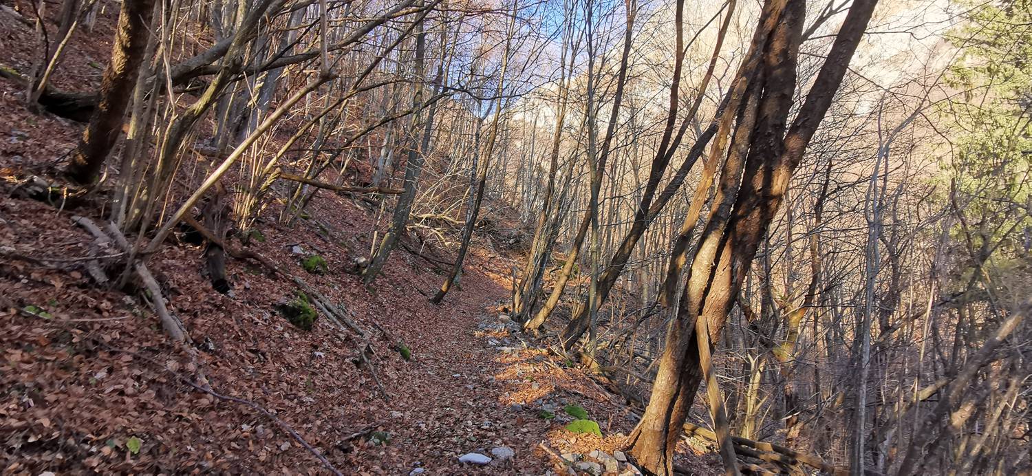 Planina Srednica - Mrzli vrh slika 39
