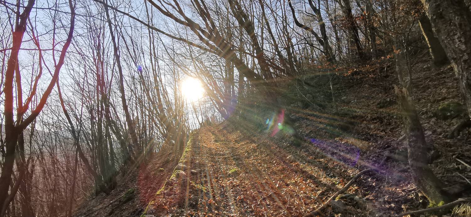 Planina Srednica - Mrzli vrh slika 40