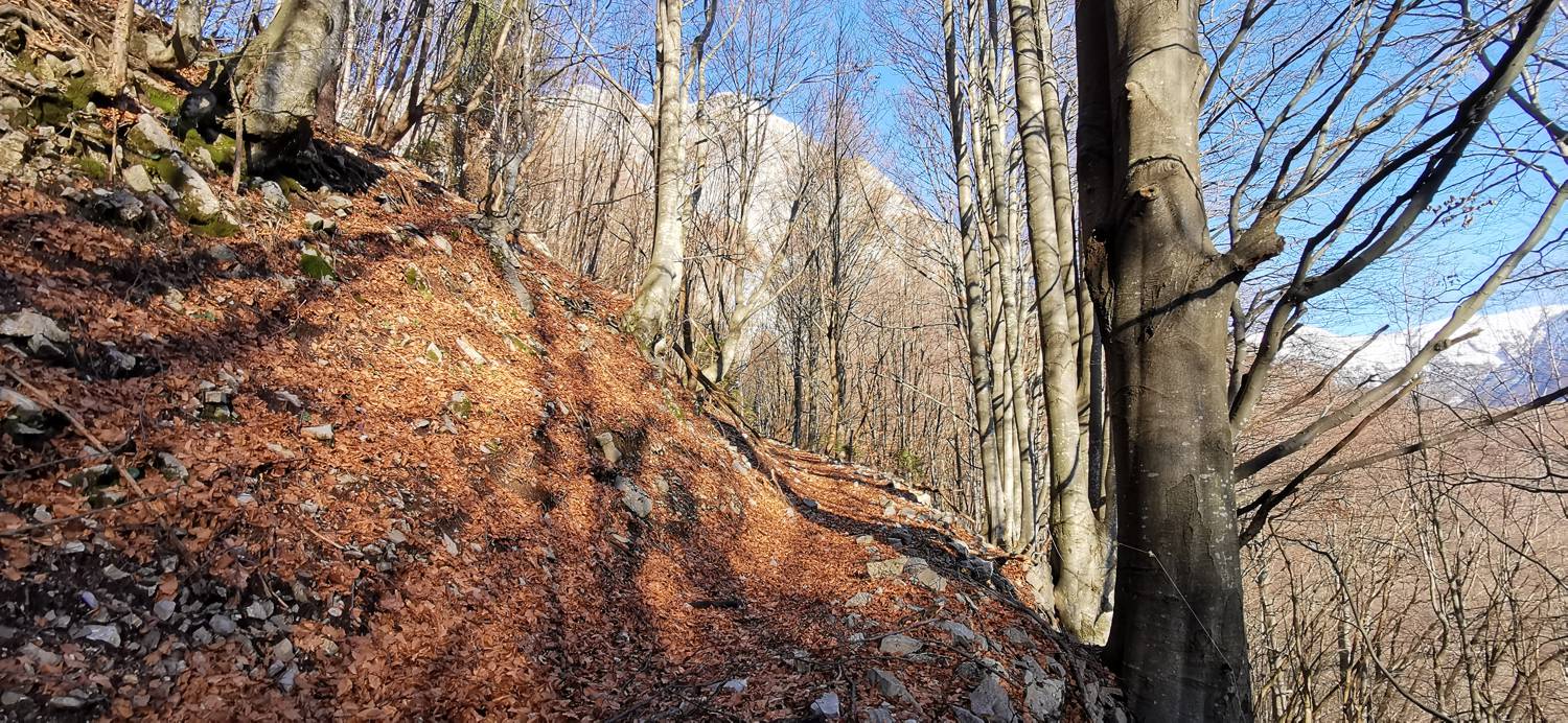 Planina Srednica - Mrzli vrh slika 41