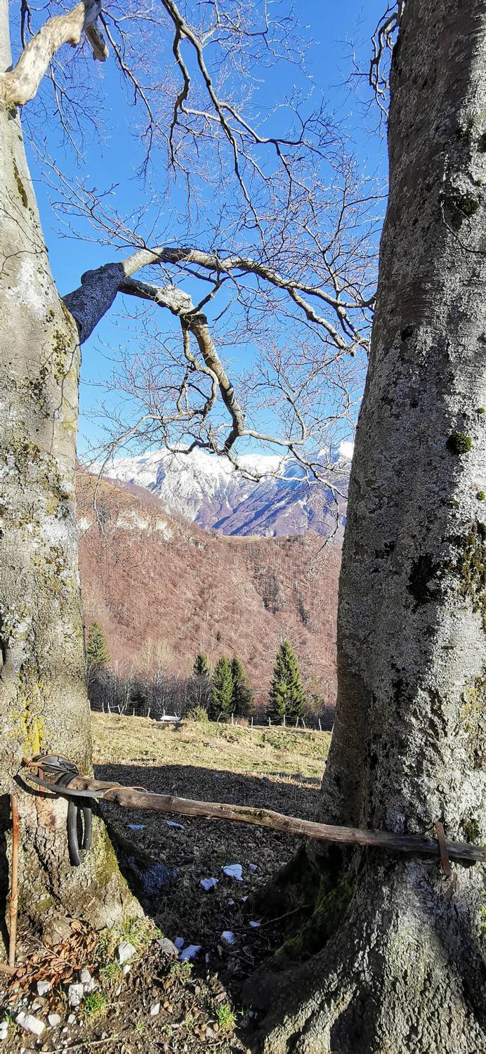 Planina Srednica - Planina Laška seč slika 41