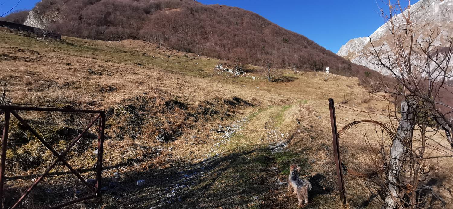 Cerkev Sv. Petra - Mrzli vrh slika 55