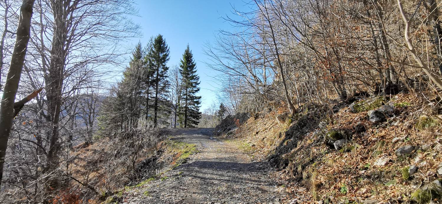 Planina Srednica - Mrzli vrh slika 60