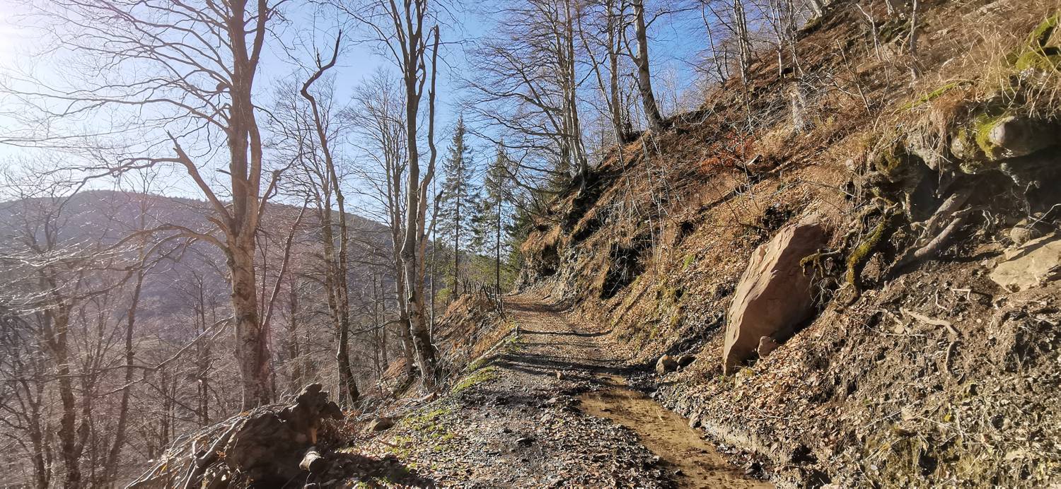 Planina Srednica - Mrzli vrh slika 62