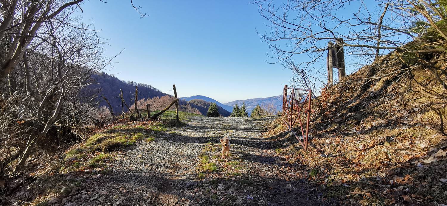 Planina Srednica - Mrzli vrh slika 64