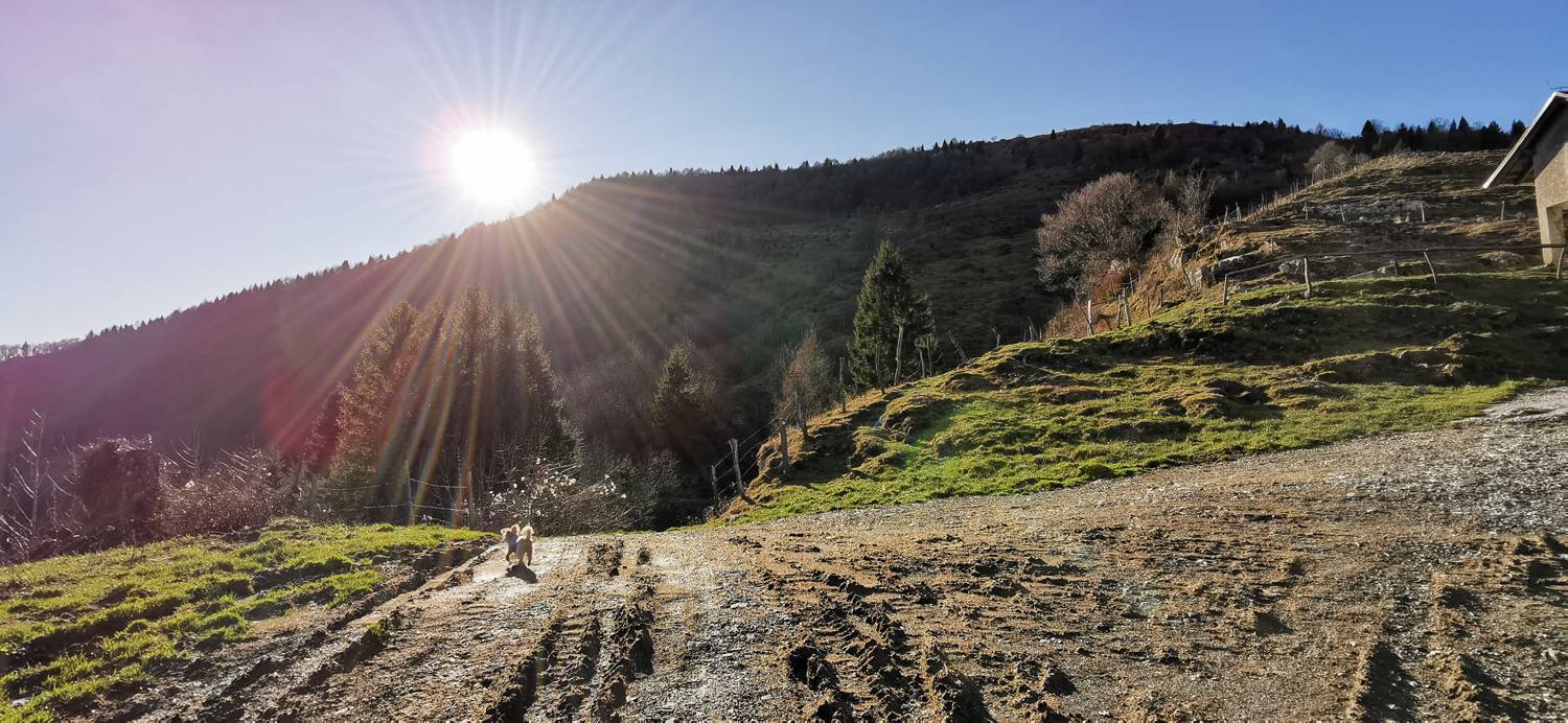 Planina Srednica - Mrzli vrh slika 70