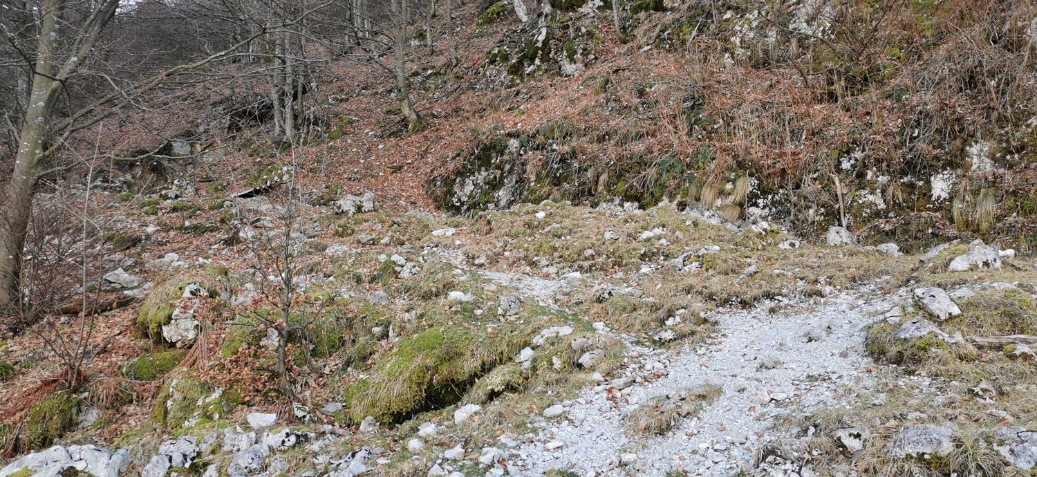 Planina Srednica - Mrzli vrh slika 76