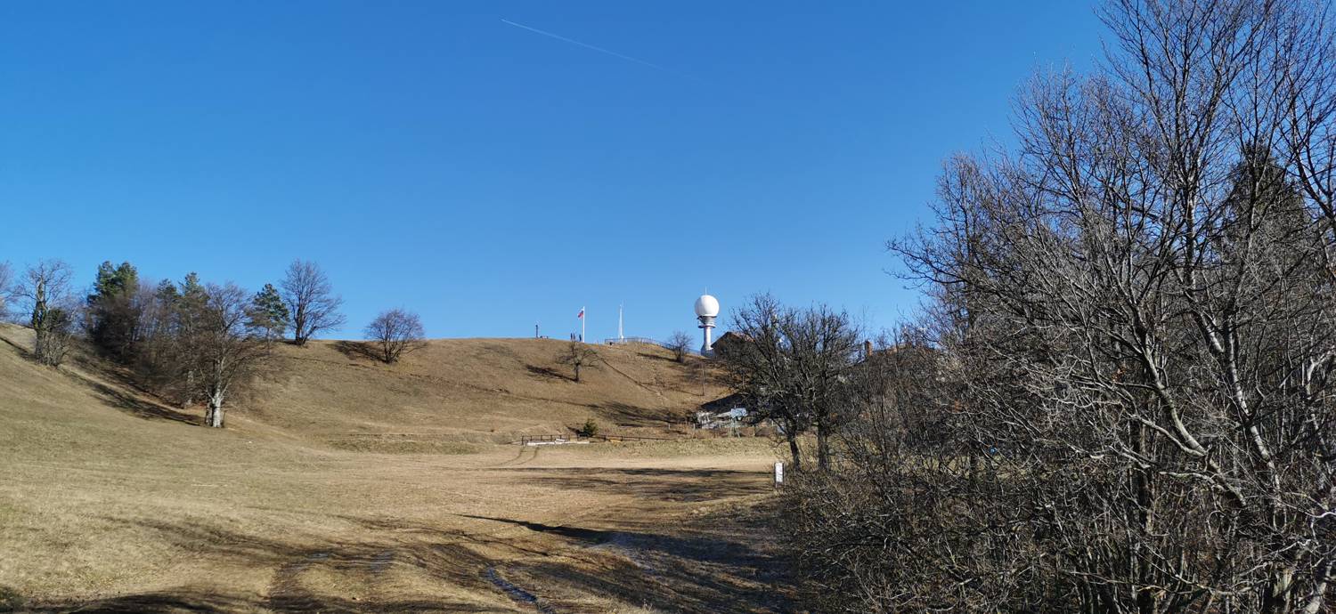 Lisce - Lisca slika 29