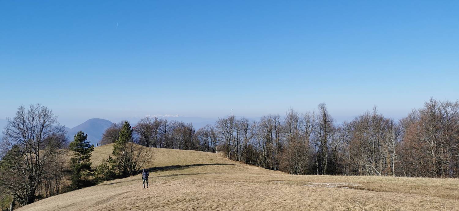 Lisce - Lisca slika 38
