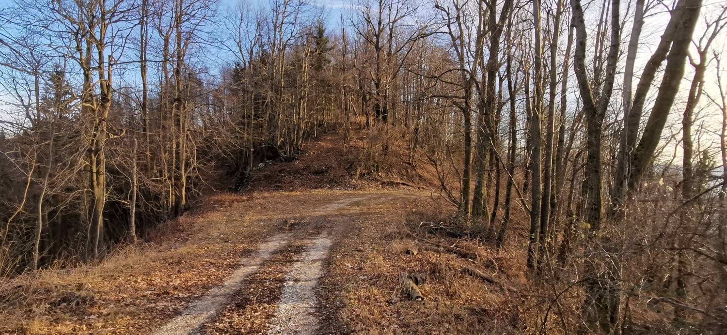 Avško - Čičer slika 13