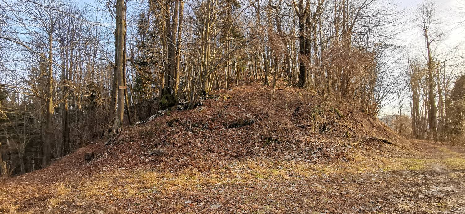 Avško - Čičer slika 14