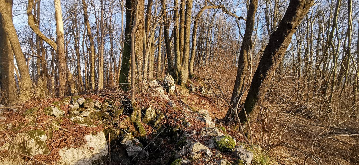 Avško - Čičer slika 18