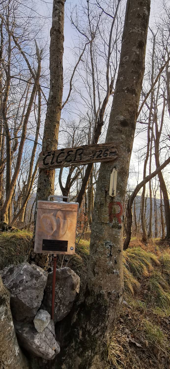Avško - Čičer slika 22
