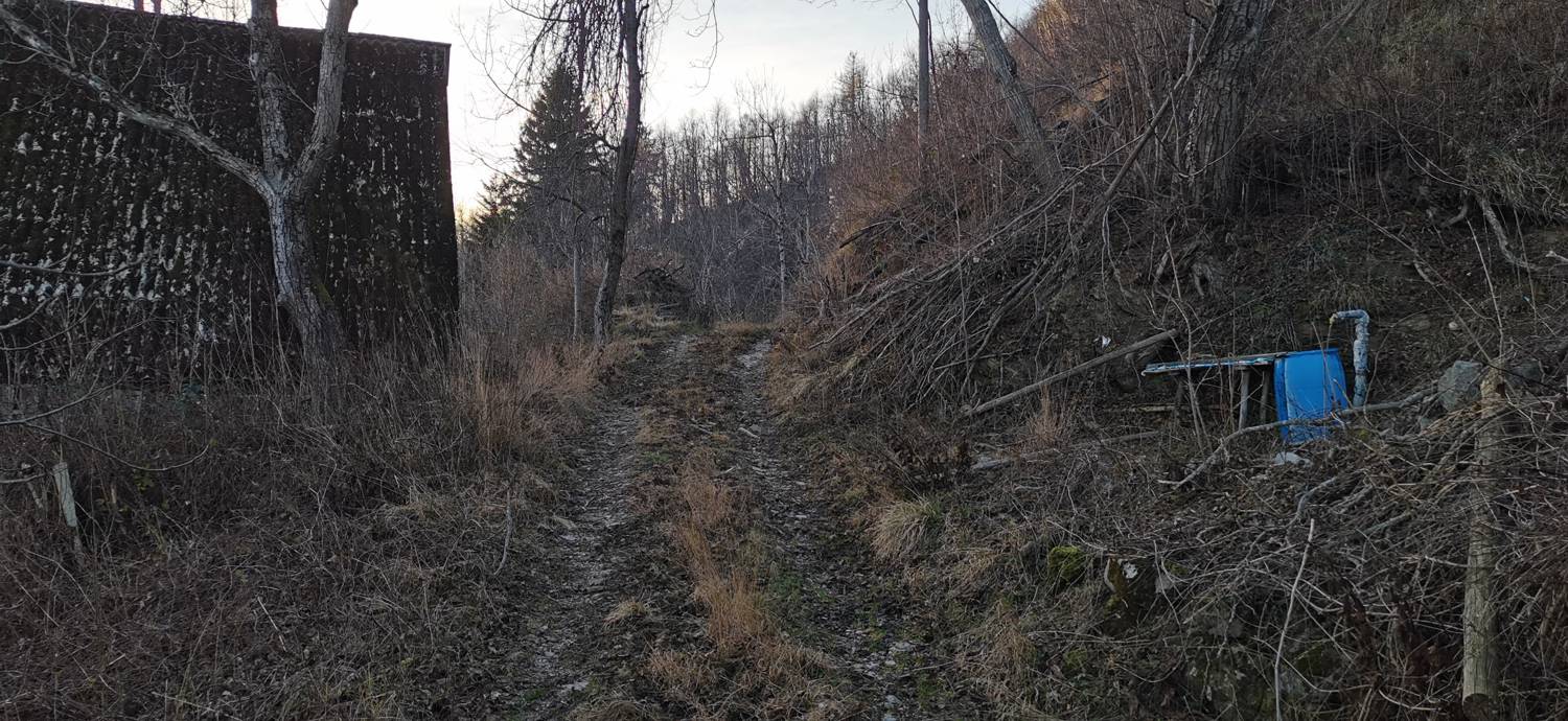 Avško - Čičer slika 10