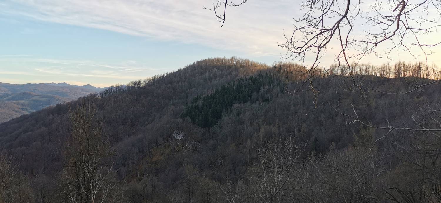 Avško - Čičer slika 9