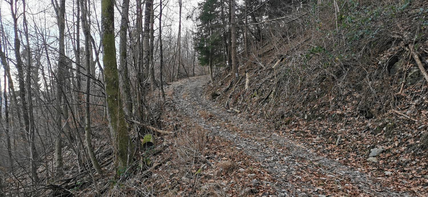 Avško - Čičer slika 8