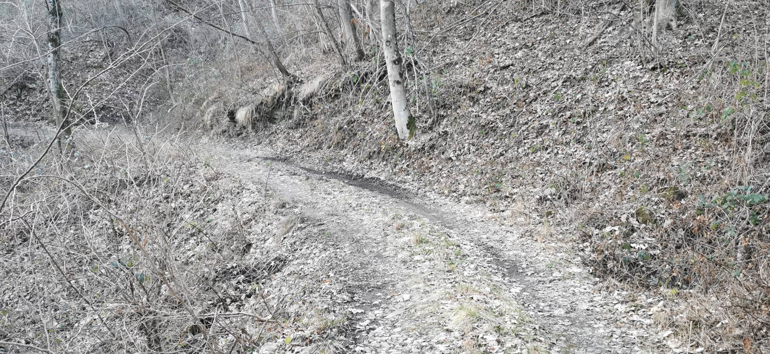 Avško - Čičer slika 6