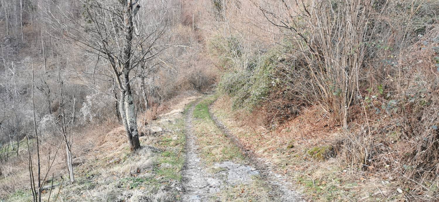 Avško - Čičer slika 5