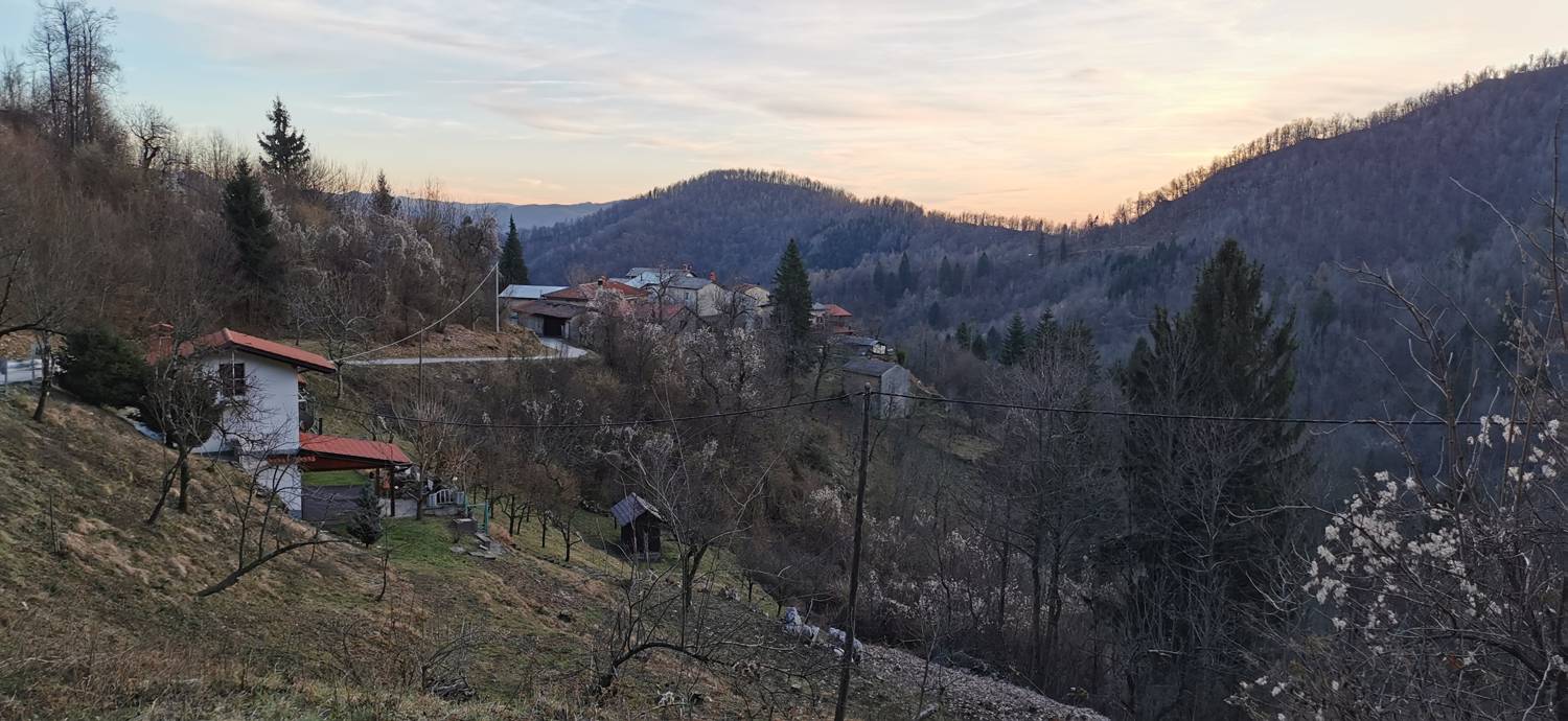Avško main photo