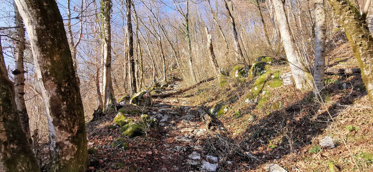 Kobarid (center) - Bivak Hlek slika 13