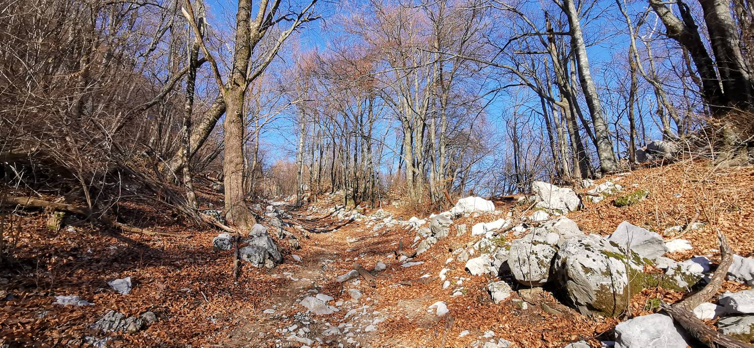 Kobarid (center) - Bivak Hlek slika 30