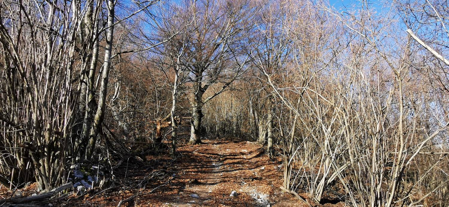 Kobarid (center) - Bivak Hlek slika 38