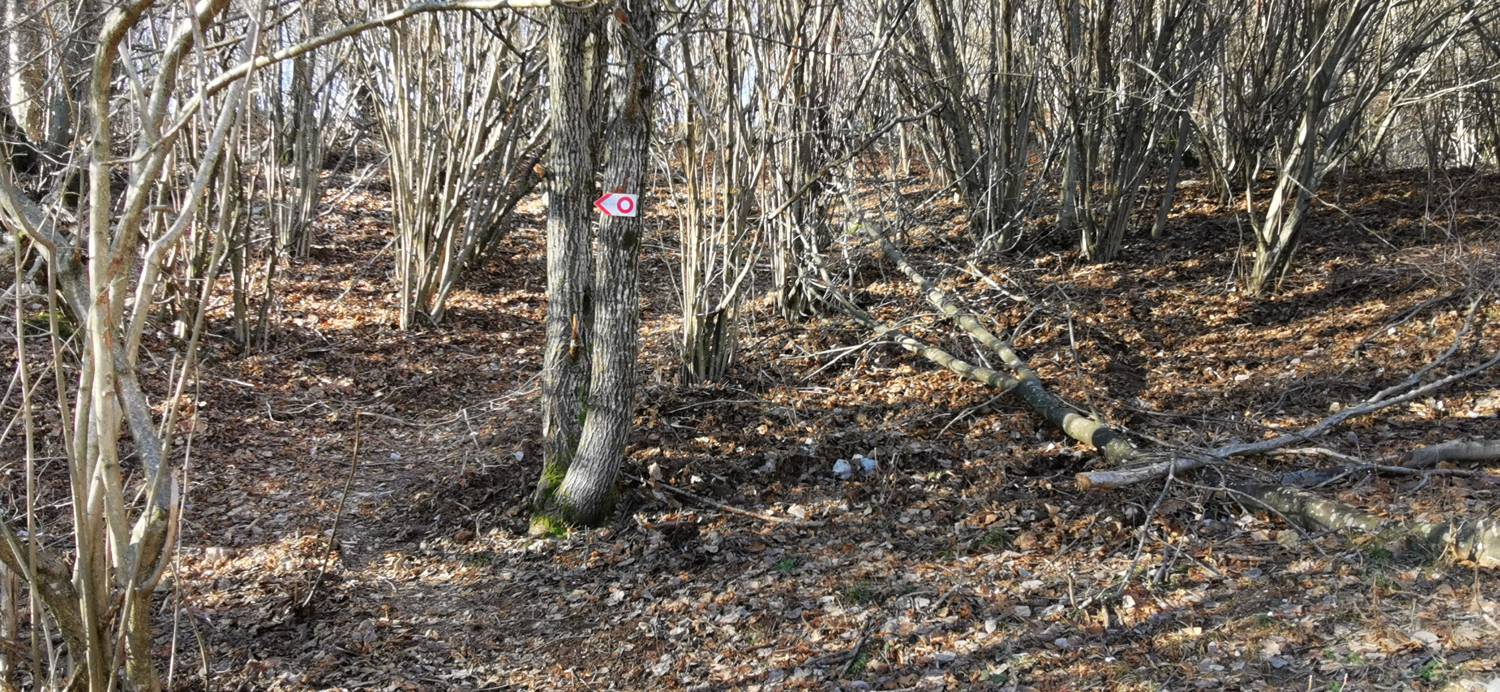 Kobarid (center) - Bivak Hlek slika 40