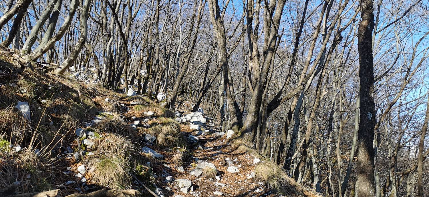 Kobarid (center) - Bivak Hlek slika 41