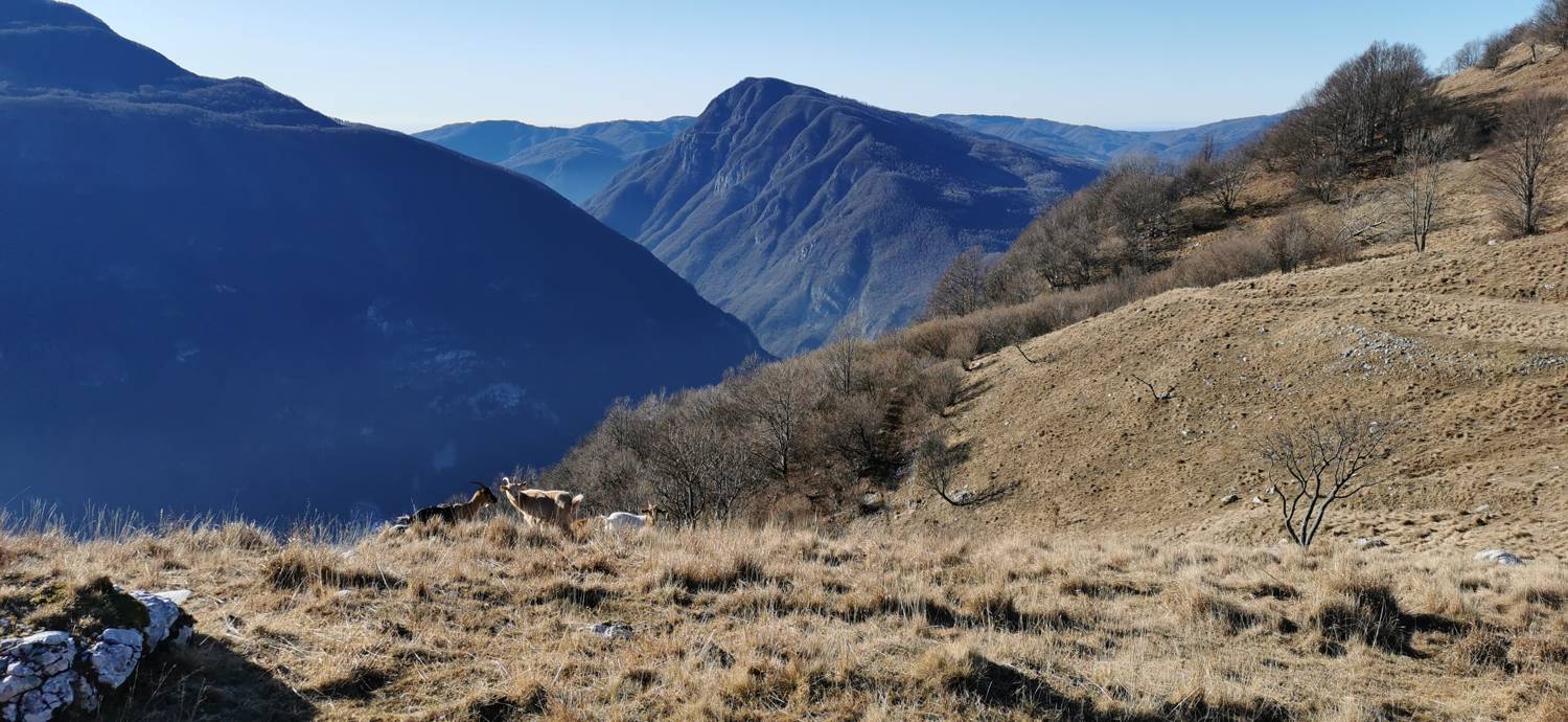 Kobarid (center) - Bivak Hlek slika 50