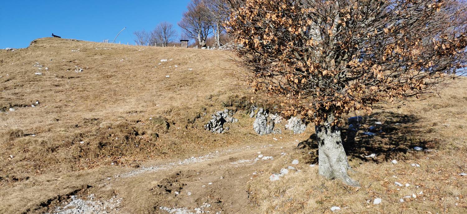 Kobarid (center) - Bivak Hlek slika 62