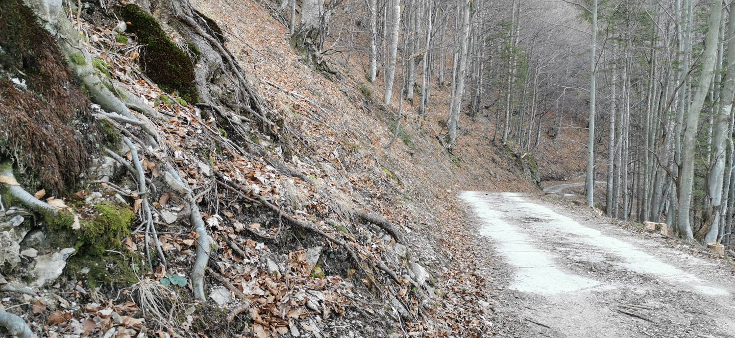 Parkirišče nad Žabčami - Meja slika 22