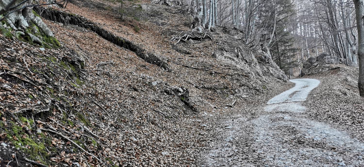 Parkirišče nad Žabčami - Meja slika 21