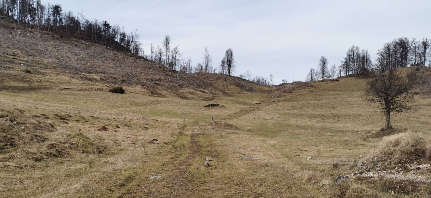 Drnulk - Skopica slika 14