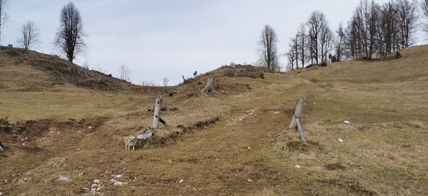 Drnulk - Skopica slika 15