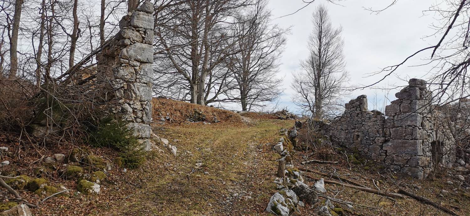 Drnulk - Skopica slika 17