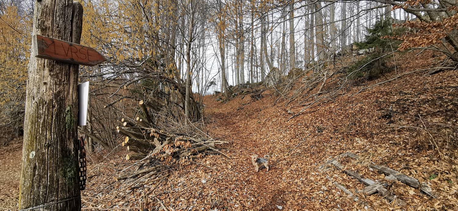 Drnulk - Skopica slika 19