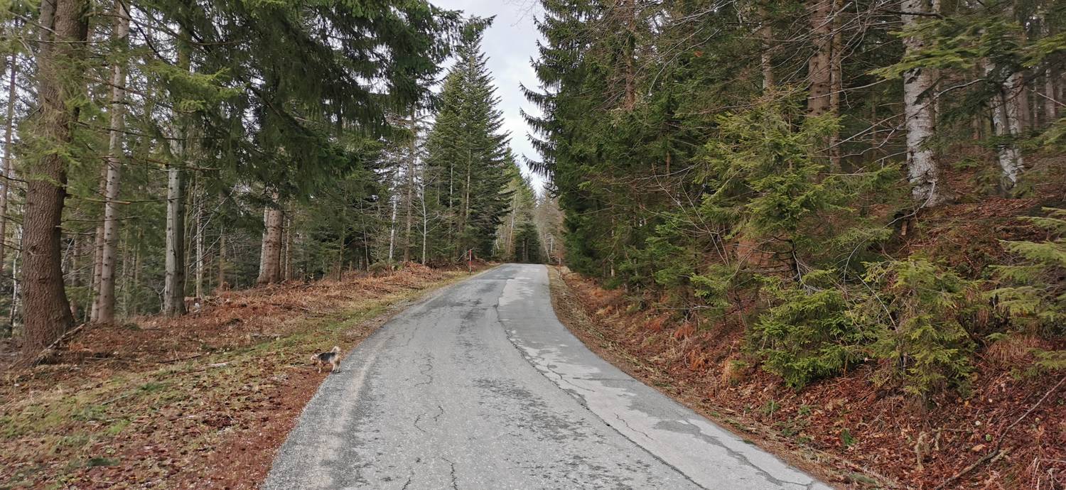 Mariborska koča - Ruska koča na Arehu slika 5