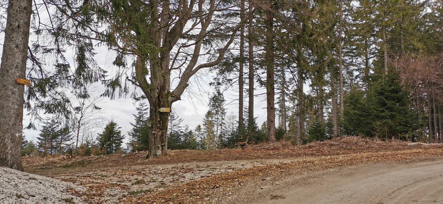 Mariborska koča - Ruska koča na Arehu slika 11