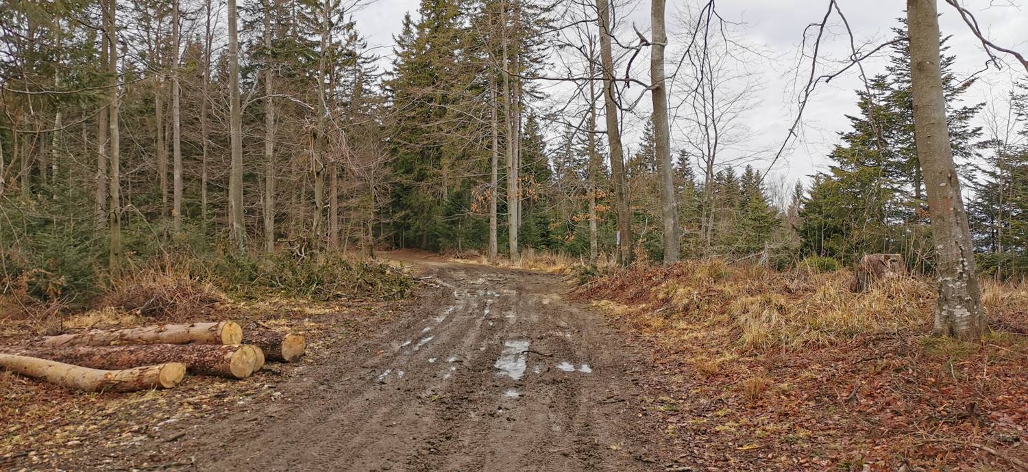 Mariborska koča - Ruska koča na Arehu slika 13